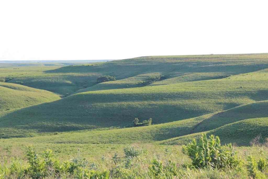 Clover Cliff Ranch Bed And Breakfast Elmdale Esterno foto